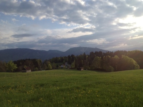 Maibaum-Aufstellen in Oberbayern!